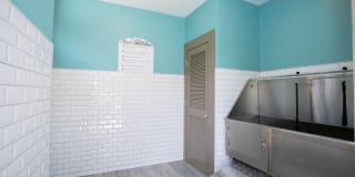 The Carlyle at Perimeter Apartments Gallery 16