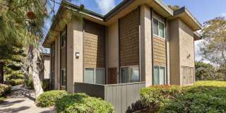 Elán Solana Pointe Gallery 1