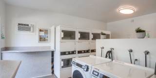 Las Ventanas Gallery 18