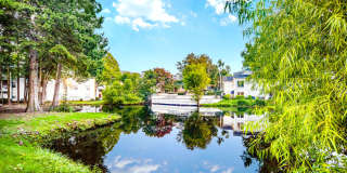 The Willows at Shelby Farms Gallery 3