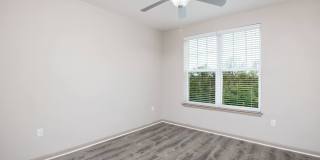 RIZE at Winter Springs Gallery 171