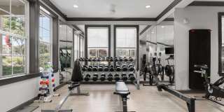 Bell Lake Forest Gallery 35