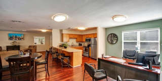 Mallside Forest Gallery 4