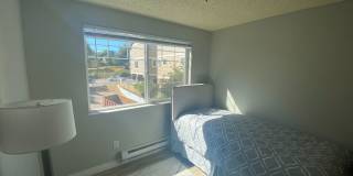 Westwood Apartments Gallery 207