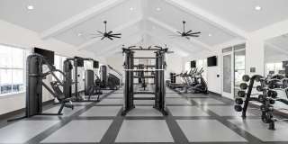 Standard441 Gallery 38