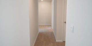 416 Coconut Drive Gallery 24
