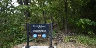 Charming 1 Bedroom next to Swede Hollow Park! Gallery 22