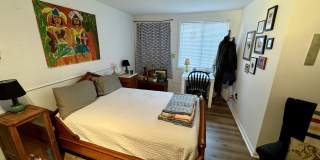 212 Giles St Townhouses Gallery 8