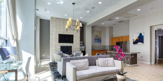Metro on Granby Apartments Gallery 7