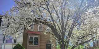 7261 SAINT LUCIA Court Gallery 1