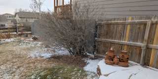 5747 Jaguar Way Gallery 42