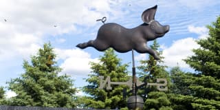 Whimsical Pig Gallery 22