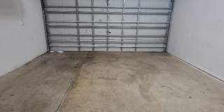 203 Redcliff Avenue Gallery 17