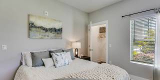 Paragon Luxury Apartments Gallery 26