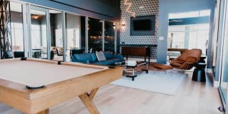 Tanager Tanager Gallery 27