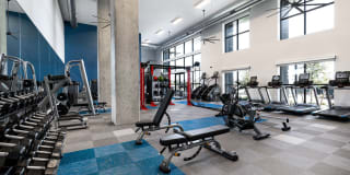 Korina and Alder at The Grove Korina and Alder at The Grove Gallery 53