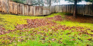 31092 119th Ave SE Gallery 28