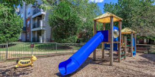 Ridgeleigh at Van Dorn Gallery 8