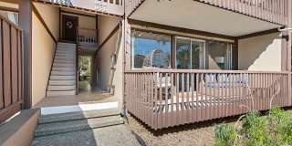 954 Lea Drive - 1 Gallery 15