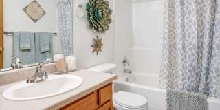 Orchard Cove Gallery 7