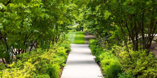 Avery at Turkey Creek Gallery 48