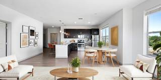 The Washingtons Gallery 2