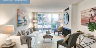 The Meadows - Newly Renovated Gallery 4