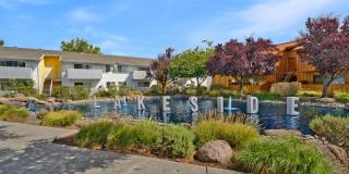 Lakeside Village (CA) Gallery 41