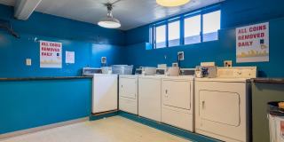 The Bayside Collection Gallery 40