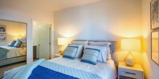 Ocean 650 Gallery 15
