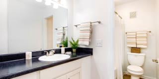 Haven Apartments Gallery 13