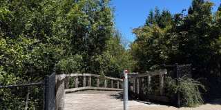Stunning Contemporary townhome in Coveted Peterkort Woods, near St. Vincent's in Cedar Mill Stunning Contemporary townhome in Coveted Peterkort Woods, near St. Vincent's in Cedar Mill Gallery 39