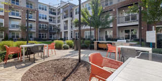 Alta Wren Gallery 38