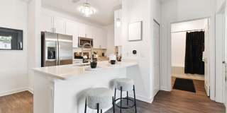 Douglas Grand at Telecom Parkway Gallery 23