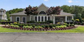 Steeplechase Gallery 1