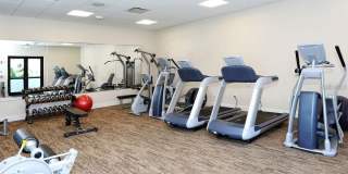 1465 GULF OF MEXICO DRIVE Gallery 50