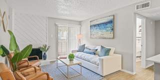 District 2308 Gallery 36