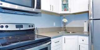 Revive Arts District Gallery 7