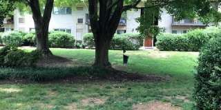 4953 AMERICANA Drive Gallery 2