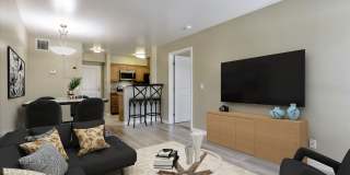 Santa Teresa Gallery 18