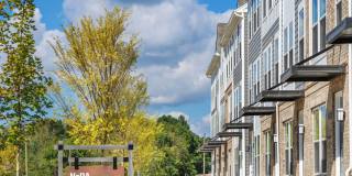 Reve Noda Junction Gallery 20