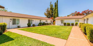 Arbor Collection Gallery 2