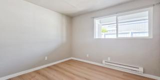 Updated 2 Bed 1 Bath in Fairwood Near Safeway Gallery 9