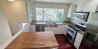 Charming 4 Bedroom Residence with Expansive Yard Gallery 12