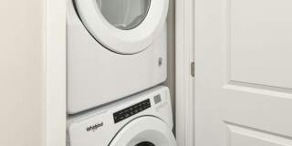 The Serene Gallery 5