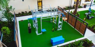 Luna at Viera Gallery 4