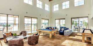 Arista at Ocotillo by Mark-Taylor Gallery 11