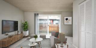 Forest Ridge Gallery 4