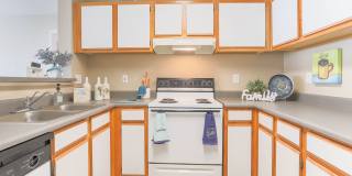 Waterbrook Gallery 8