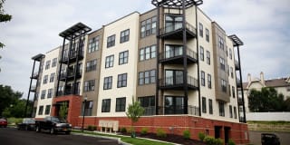 Excelsior Park Gallery 12